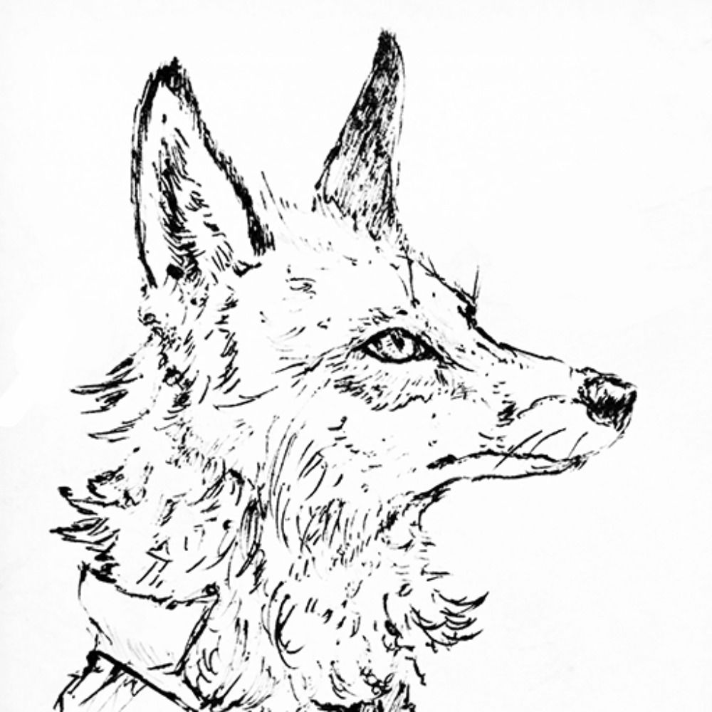 尾黒こう Ryuban