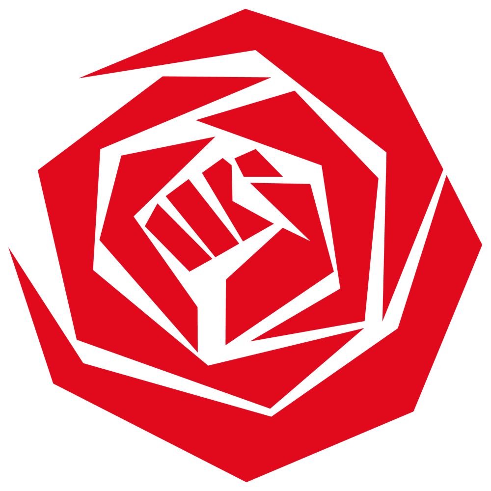 Partij van de Arbeid Berkelland