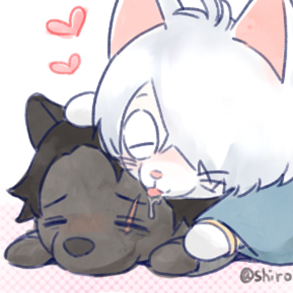 シロツキ