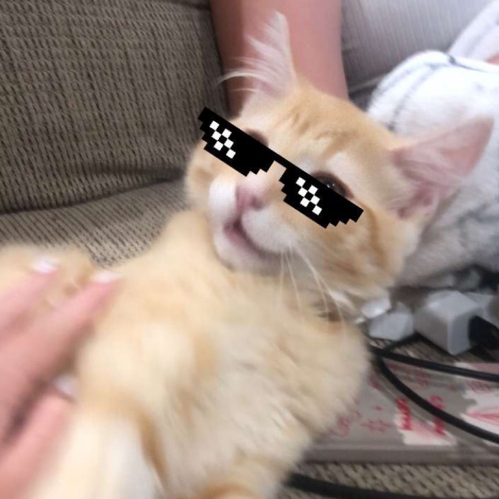 Bonbon