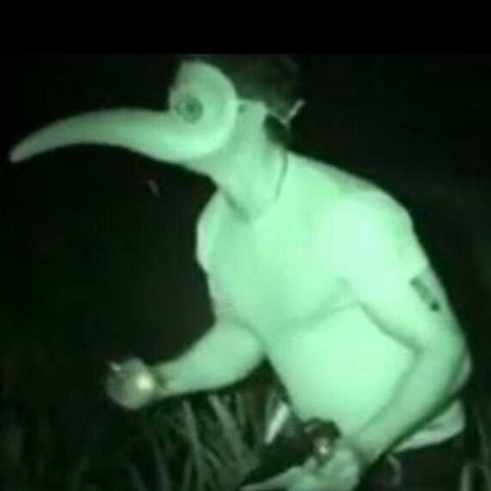 Noots