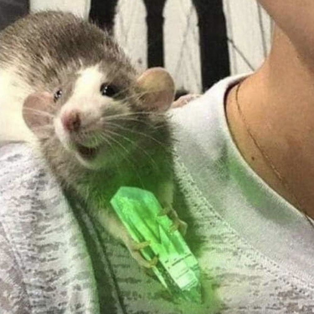 VanilaChai