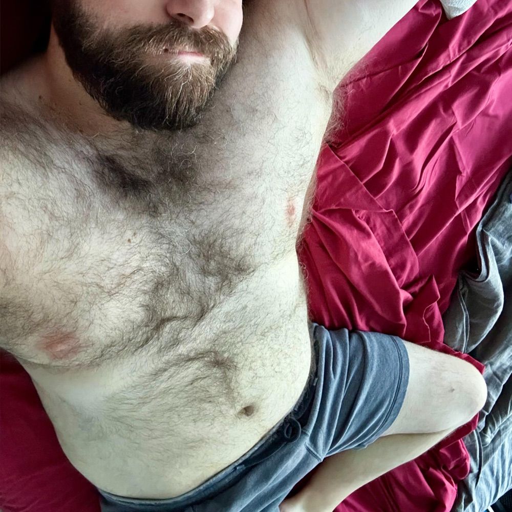 BearNTheWoods