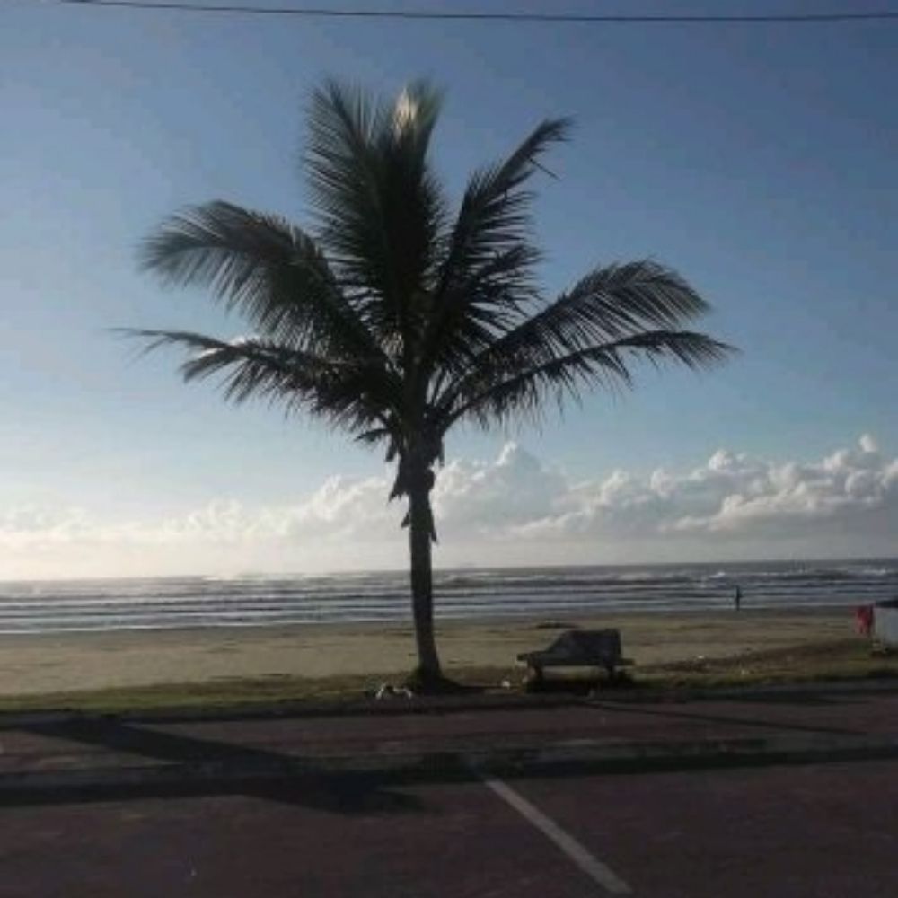Estradas_i_trilhas