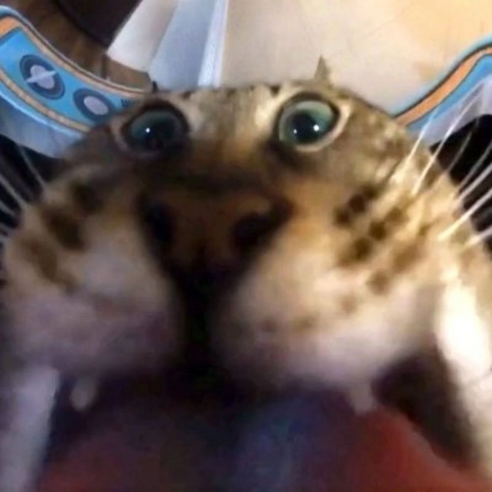 Igor