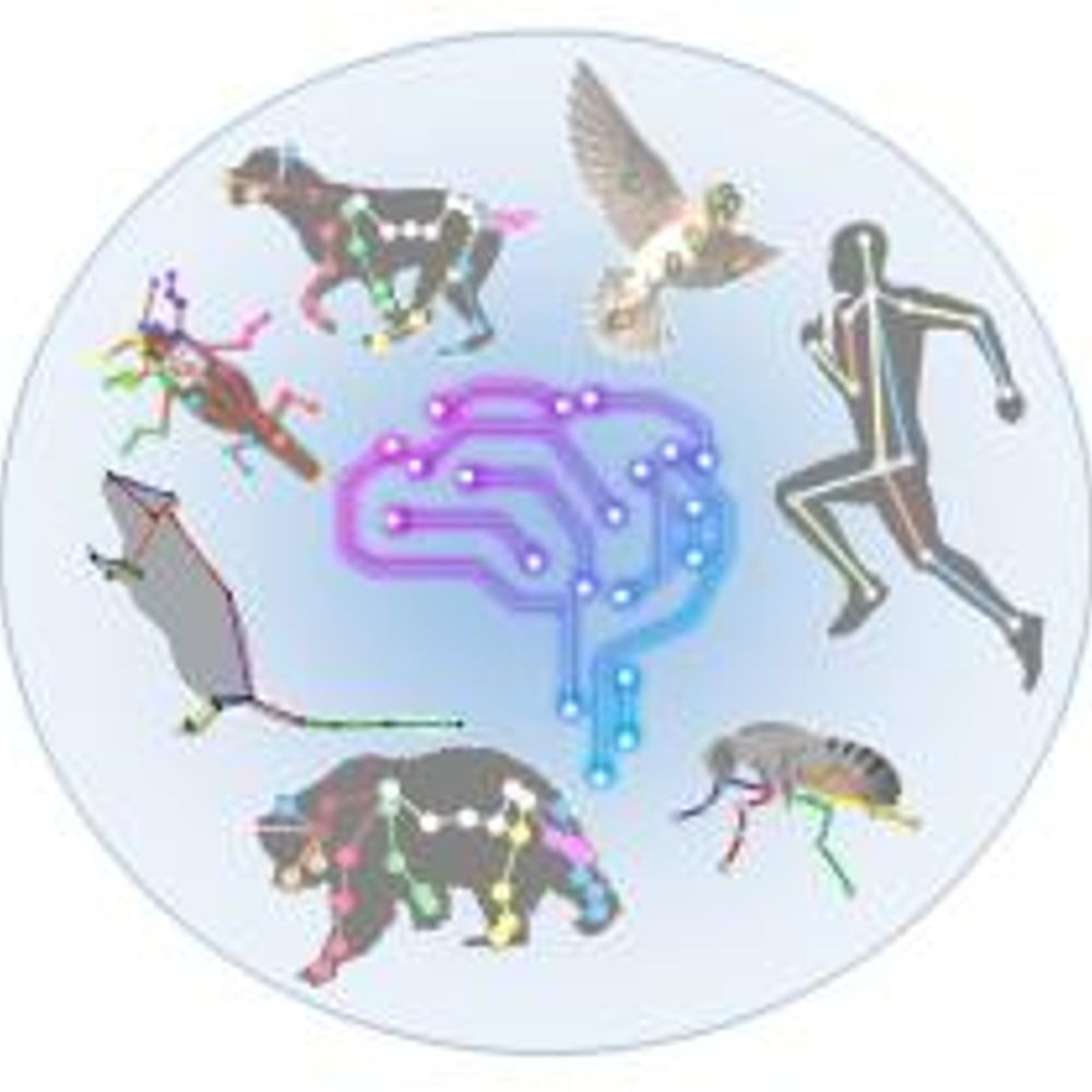 BRAIN BBQS Consortium