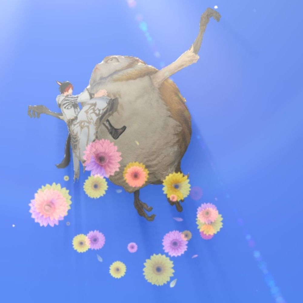 こま