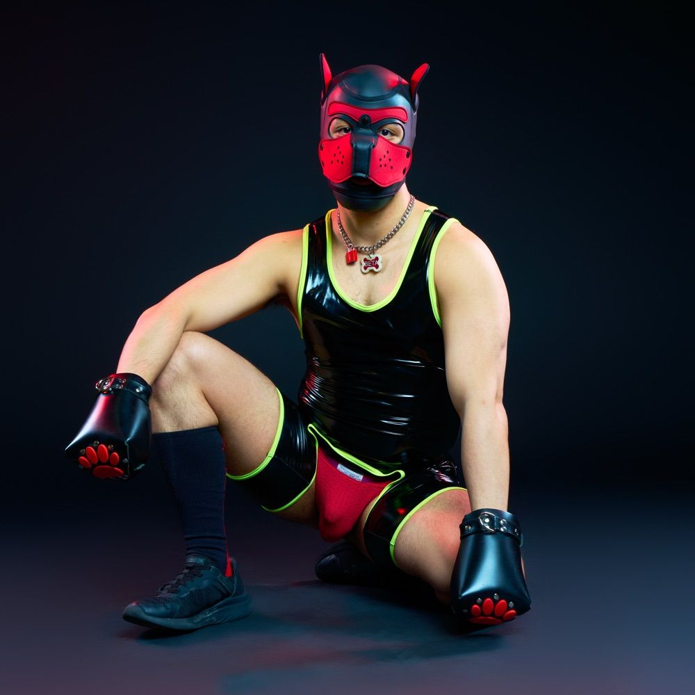 Pup Beta / Betamaxx 👊 (🔜: IML, BBM, WorldPride)