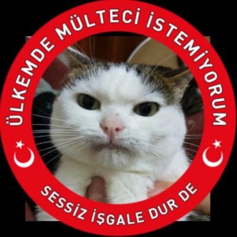 Lahana Turşusu