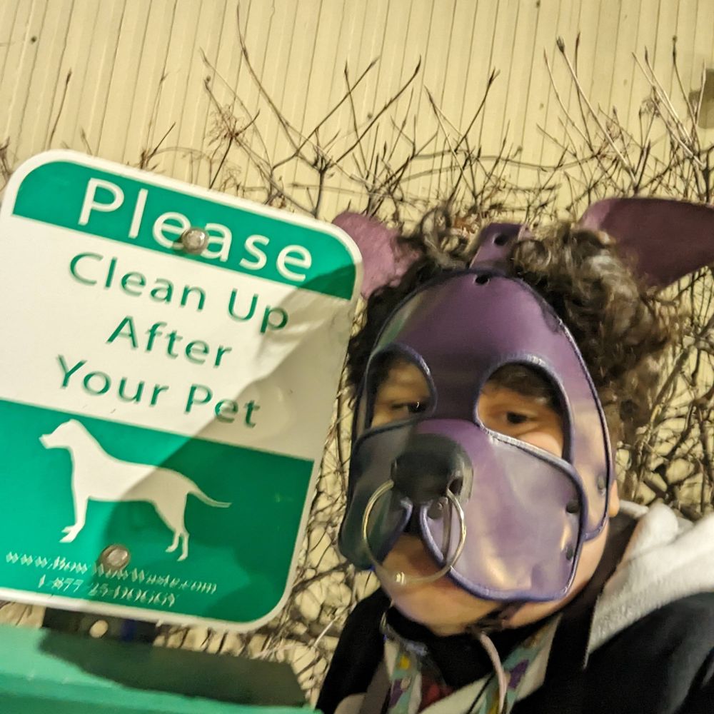 ThatLavenderMutt 