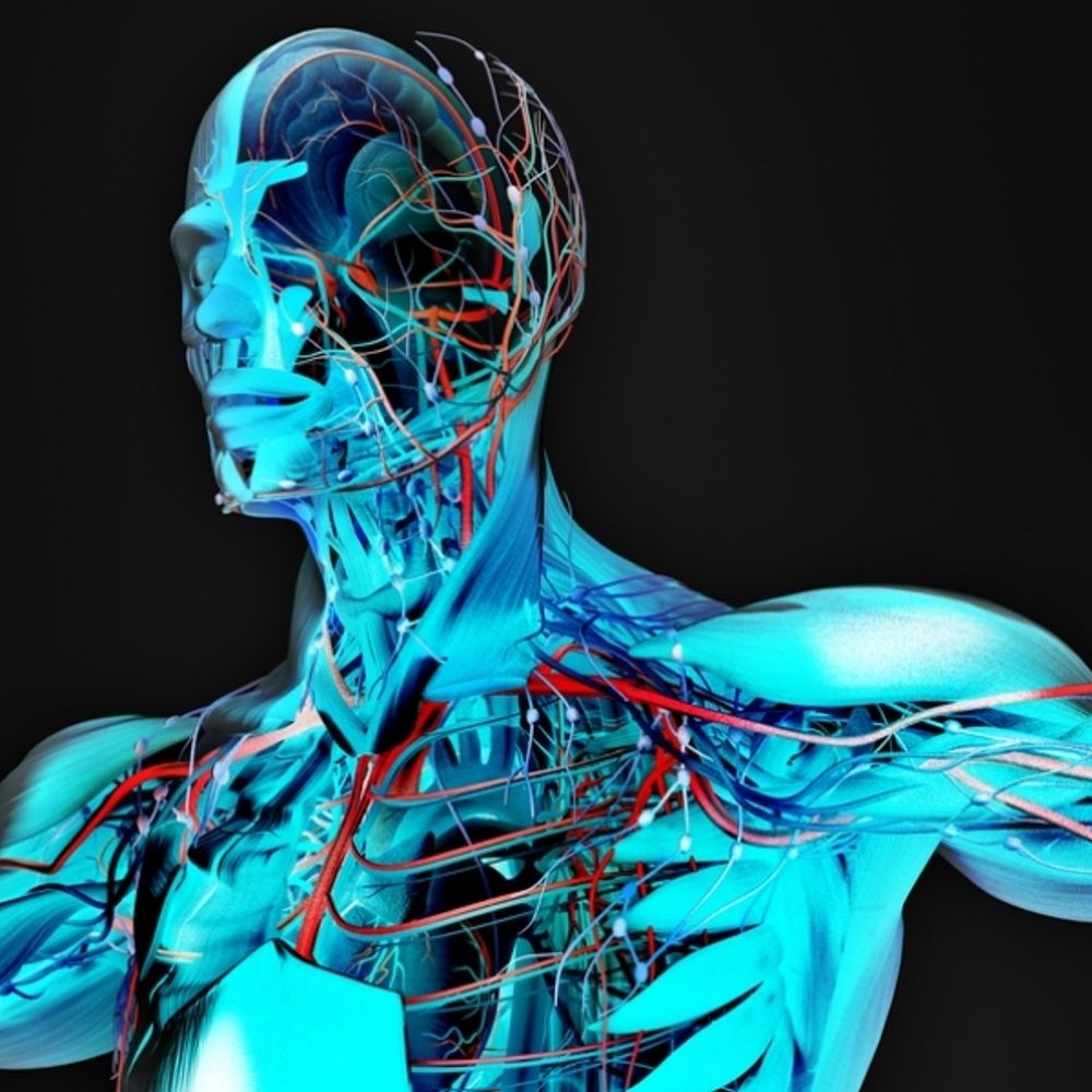 Human 2