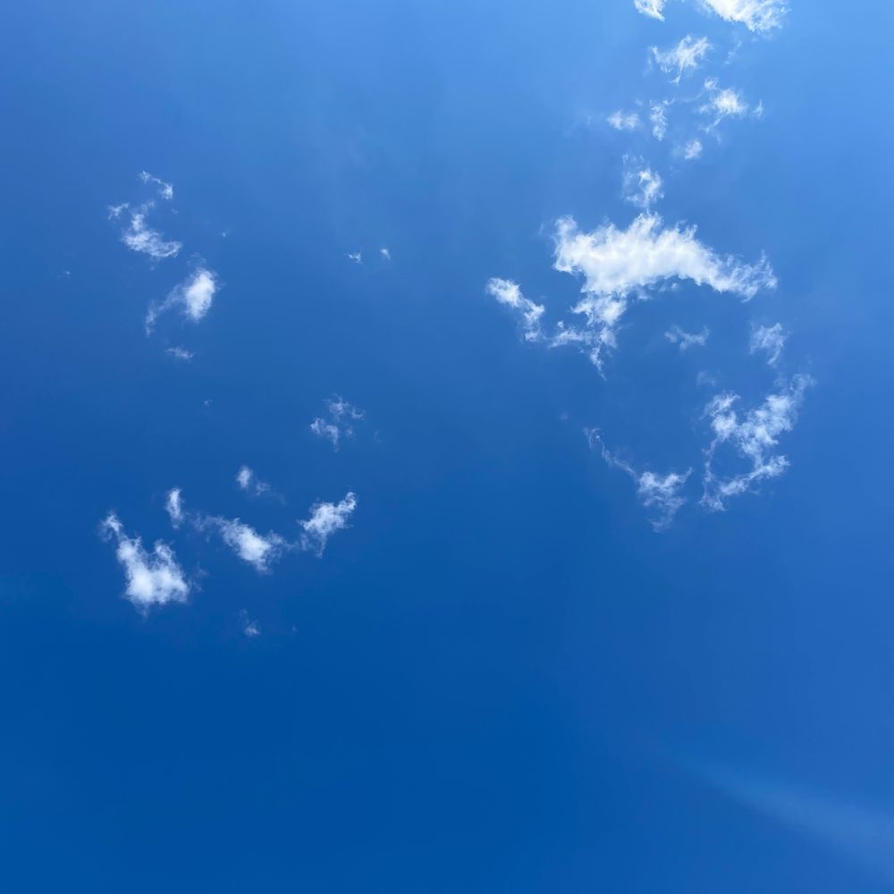 flyingfreeman