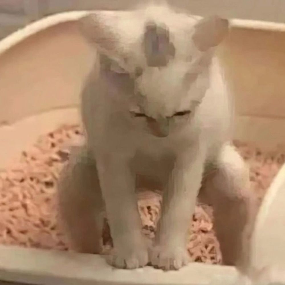  lari