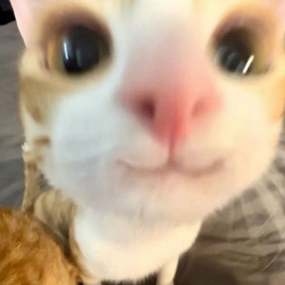 na🐣