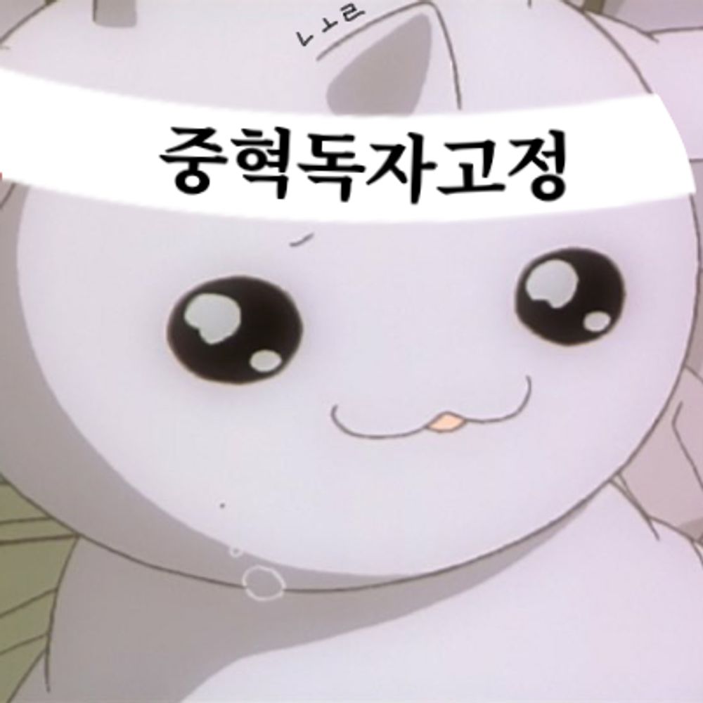 김놀자くコ:彡