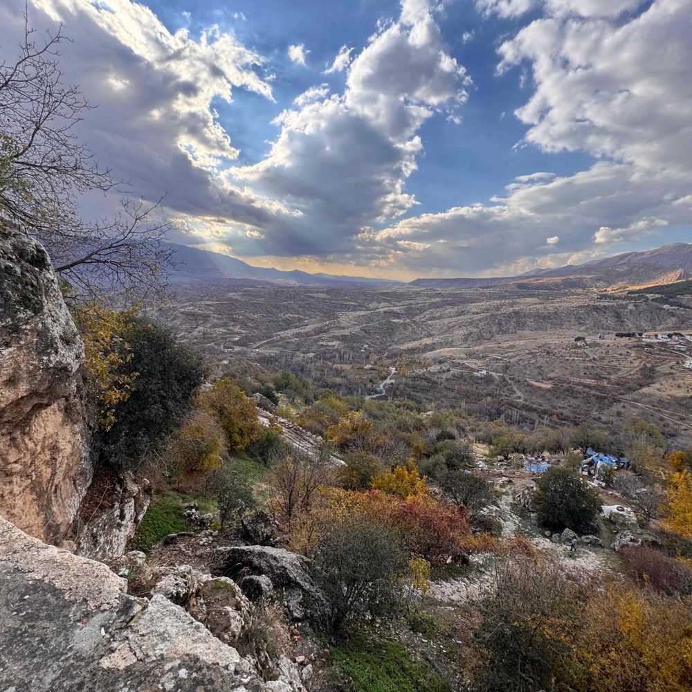 Yerevan Saeed