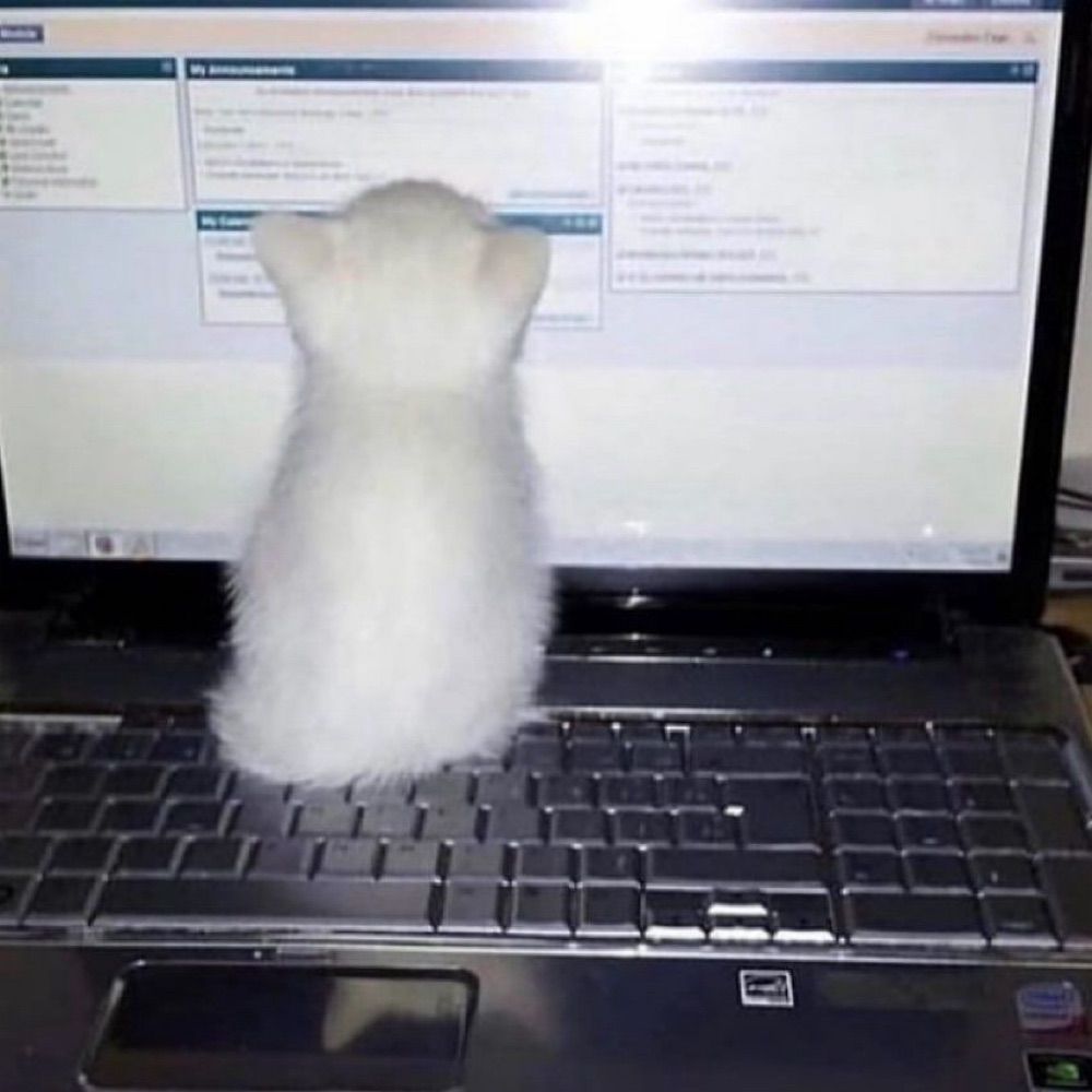 Regular stigbinky