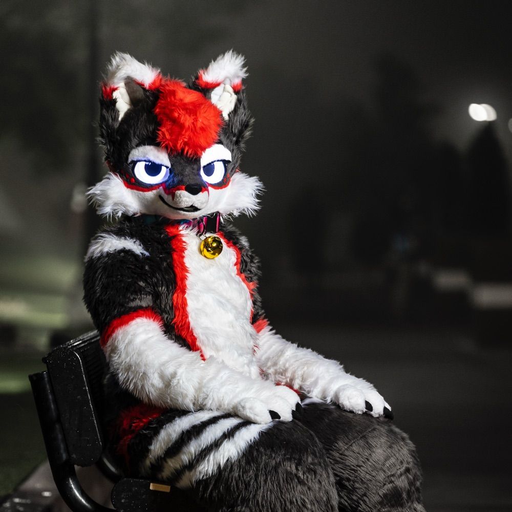 Milo the Breedable 🔜 BLFC 