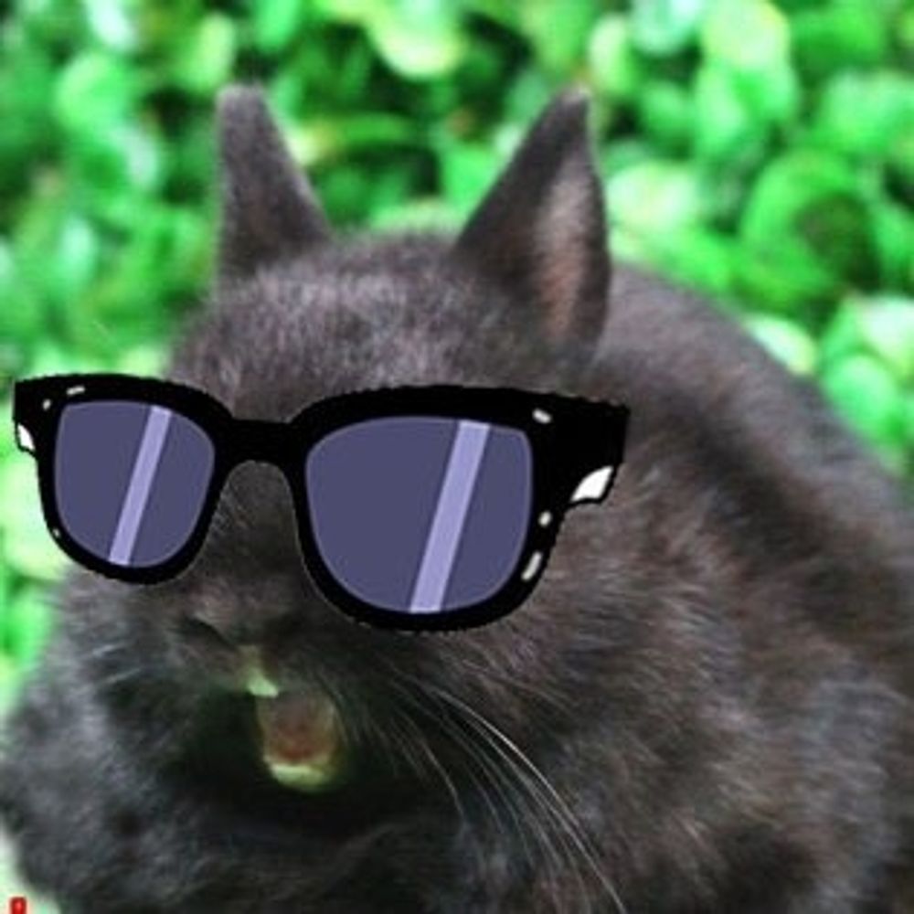 WX'Rabbit