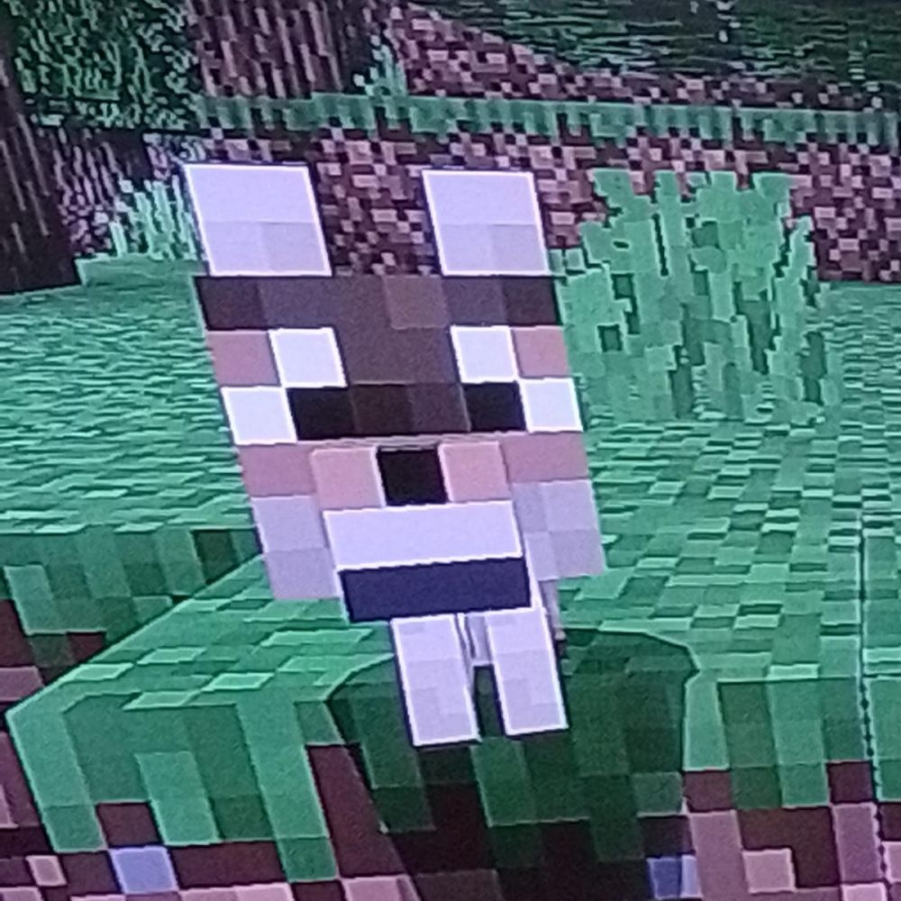lu