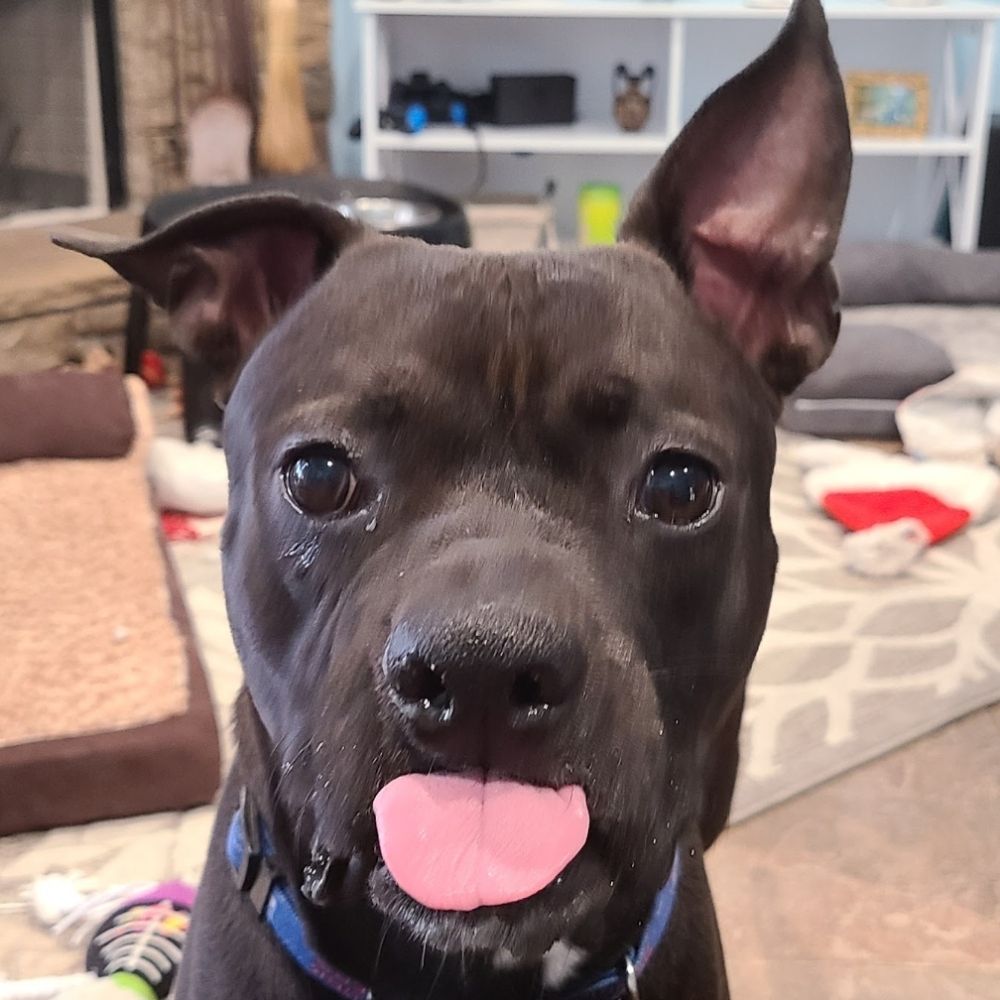 💙Dee💙