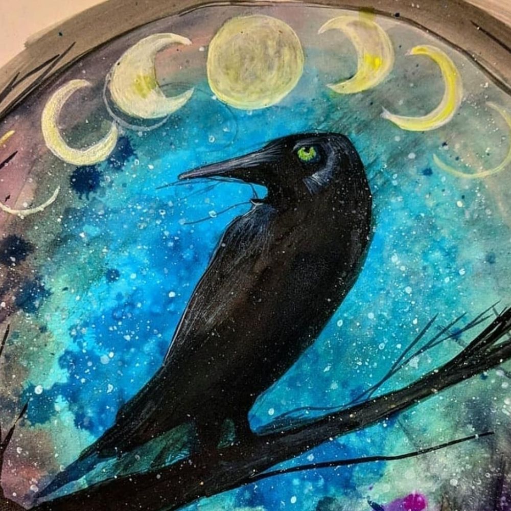🐦‍⬛