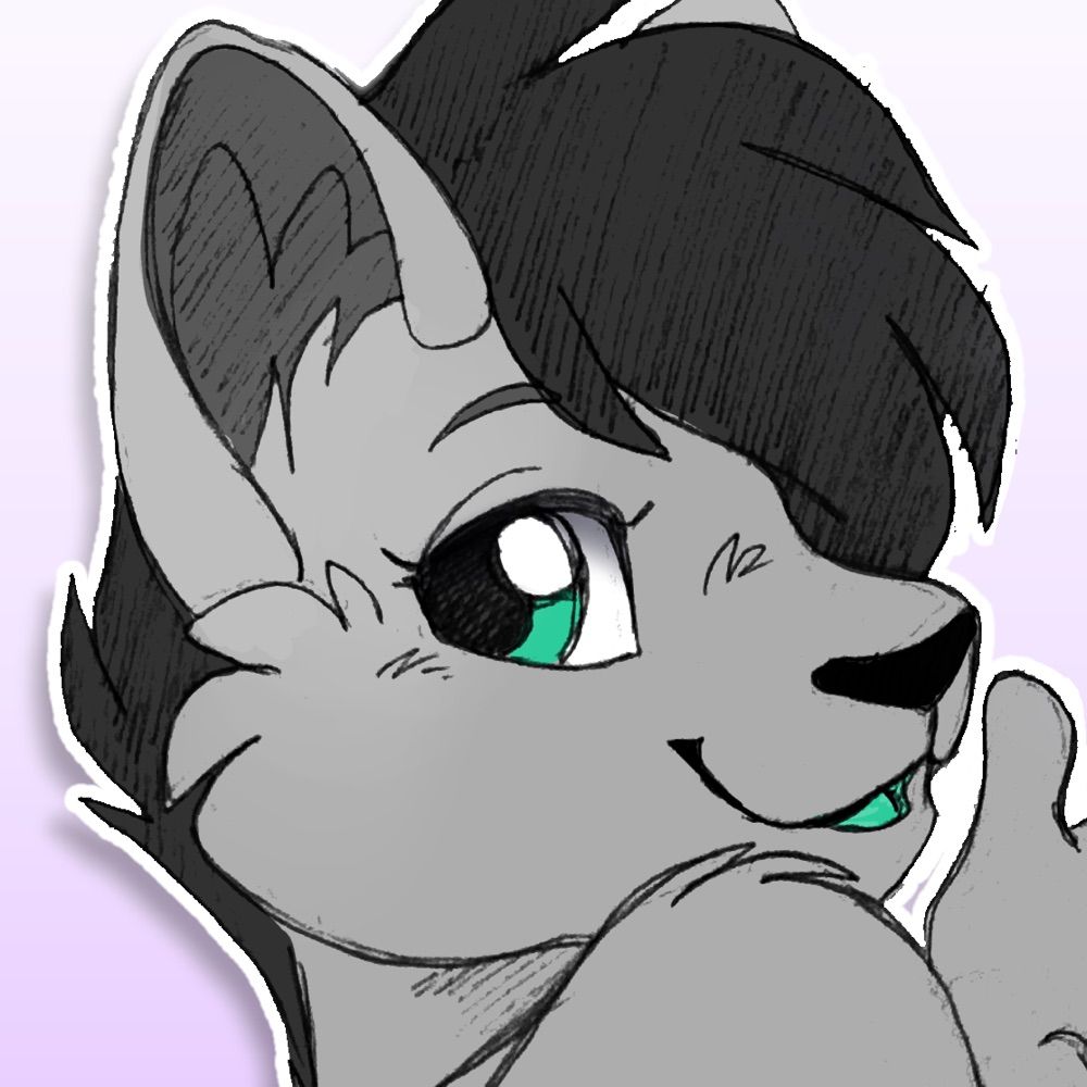 💜 Stella Kitty 🔜 PDFC, TFF 💜