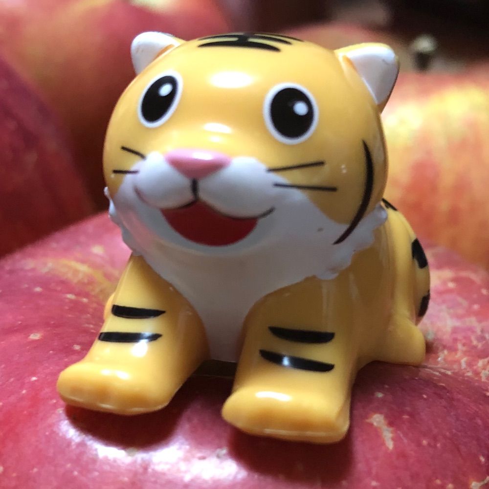 たいがぁ