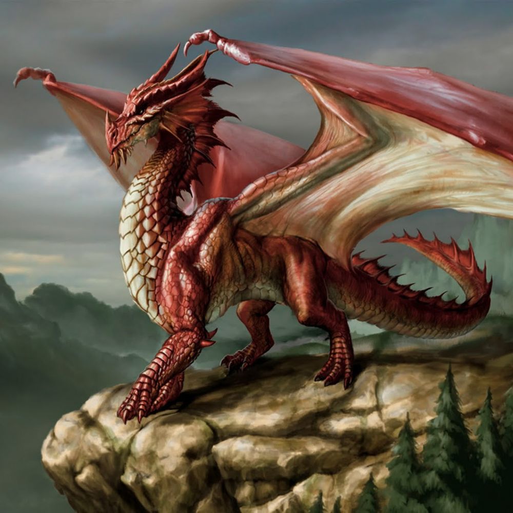 DragoRay