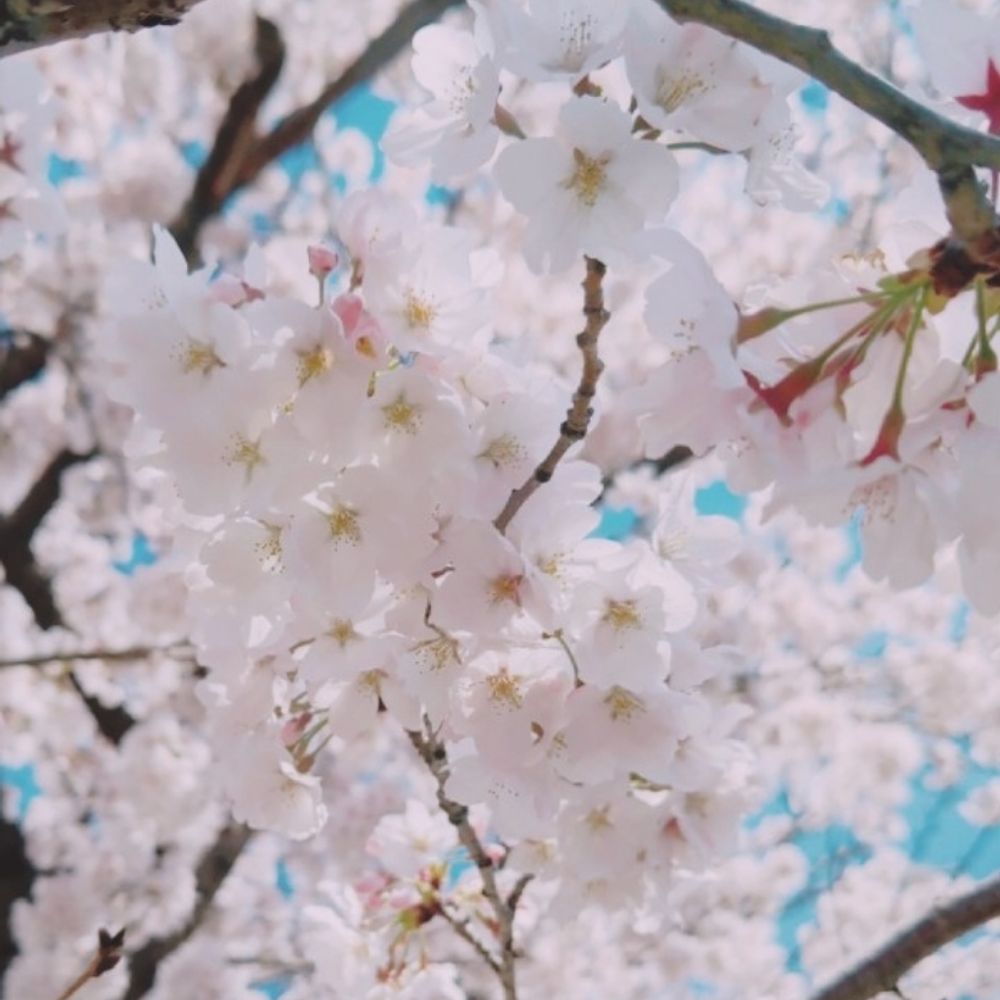 からえ