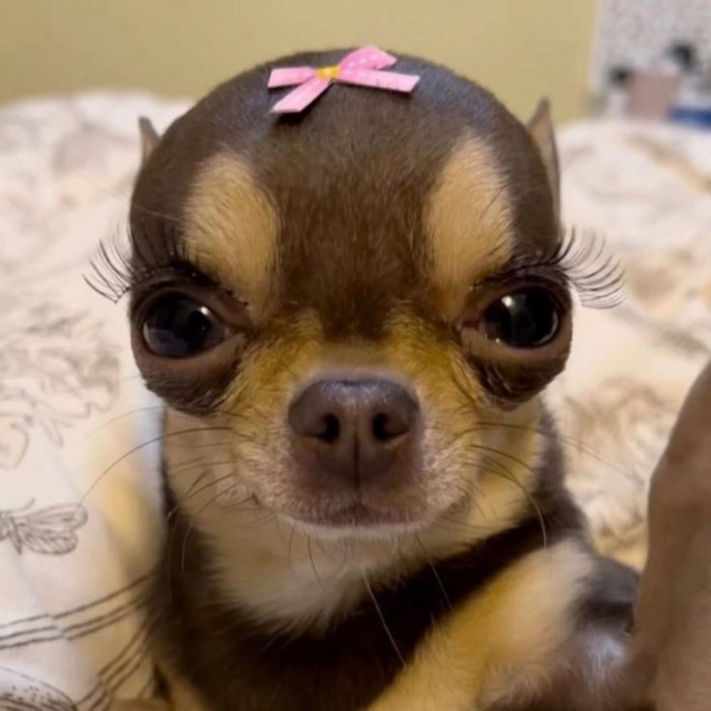 Manuzinha