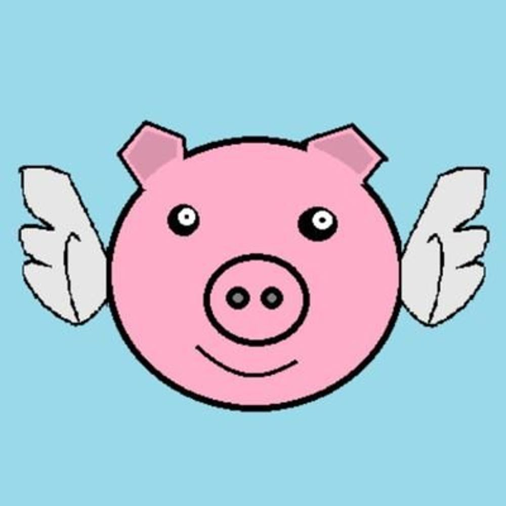 Flying Pig