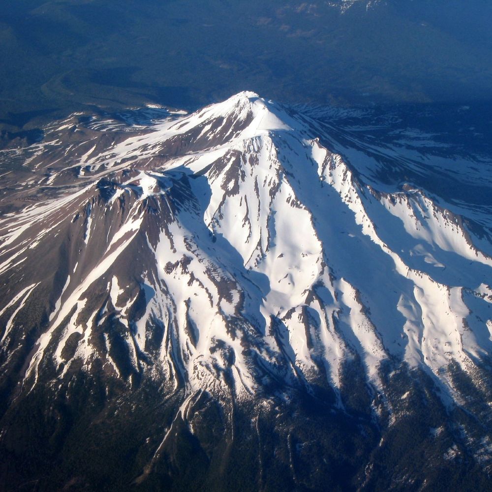 Shasta Life