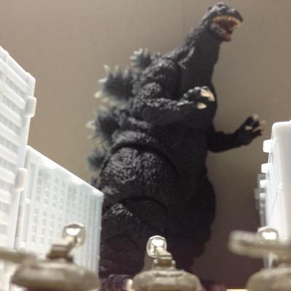 Shintaro nkn
