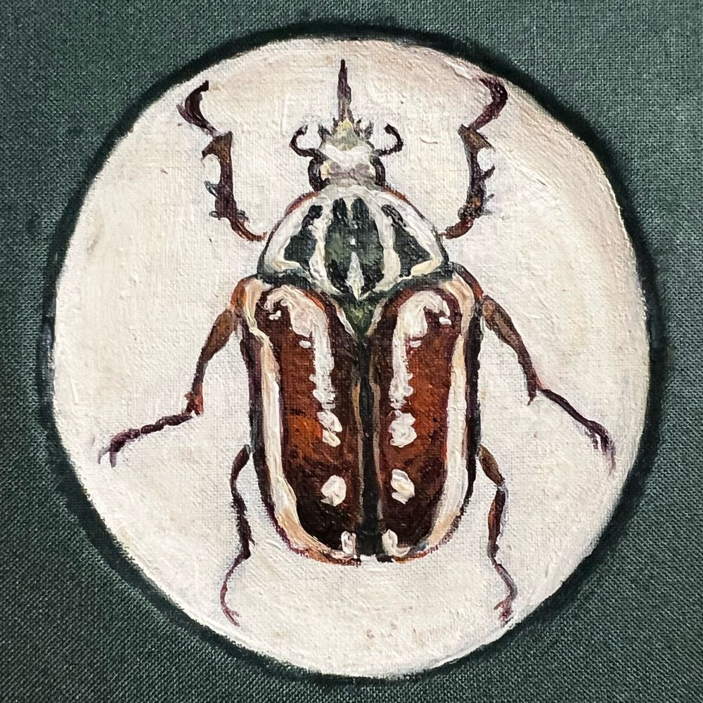 Senderilla