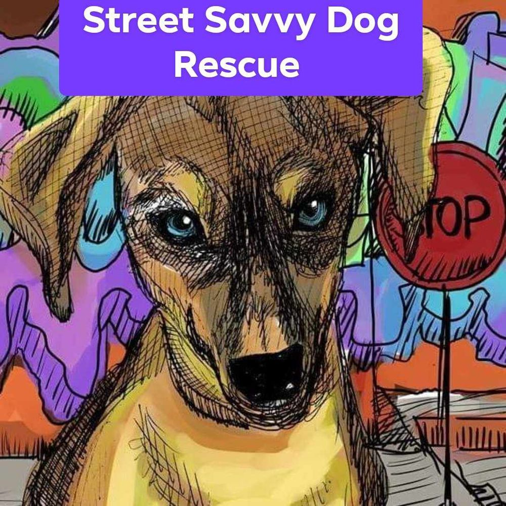 Street Savvy Dog Rescue
