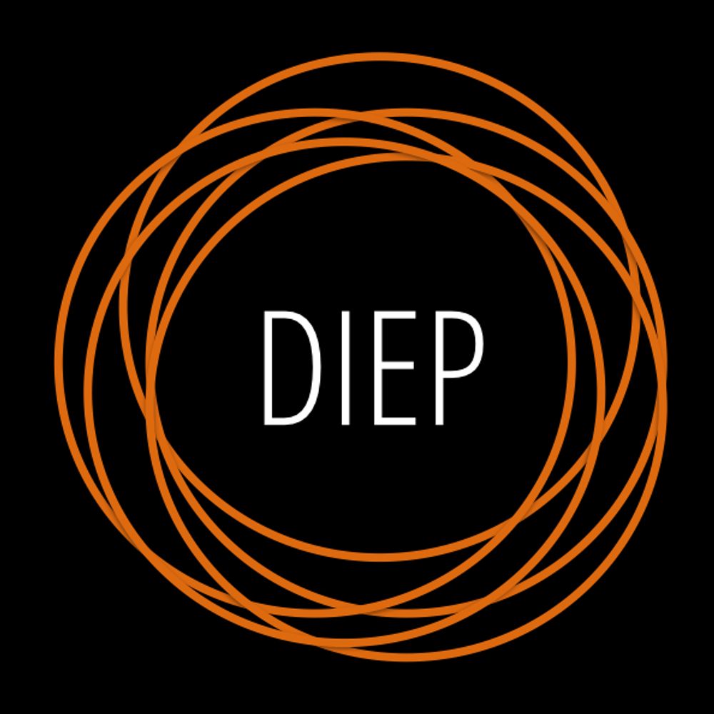 Dutch Institute for Emergent Phenomena