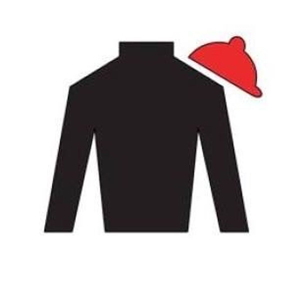 Phipps Stable Fan
