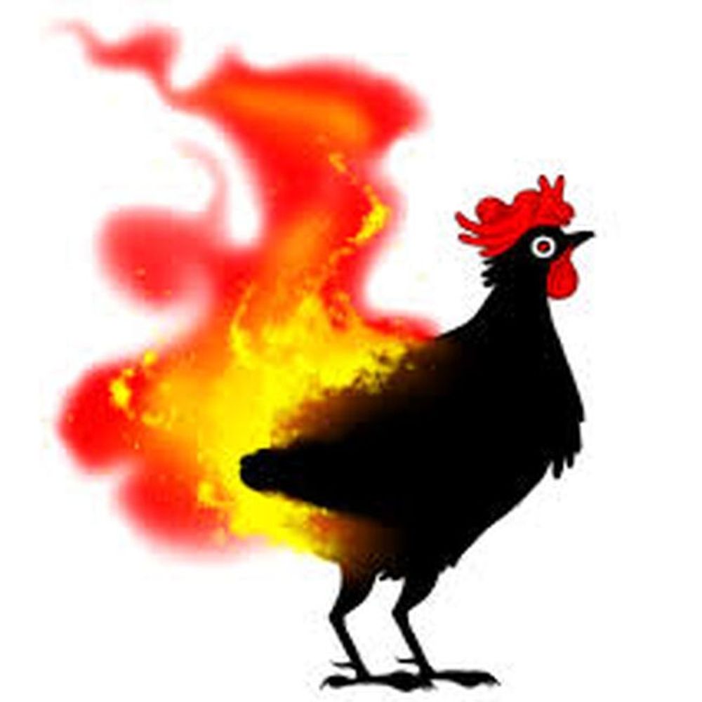 Aitvaras the House Chicken