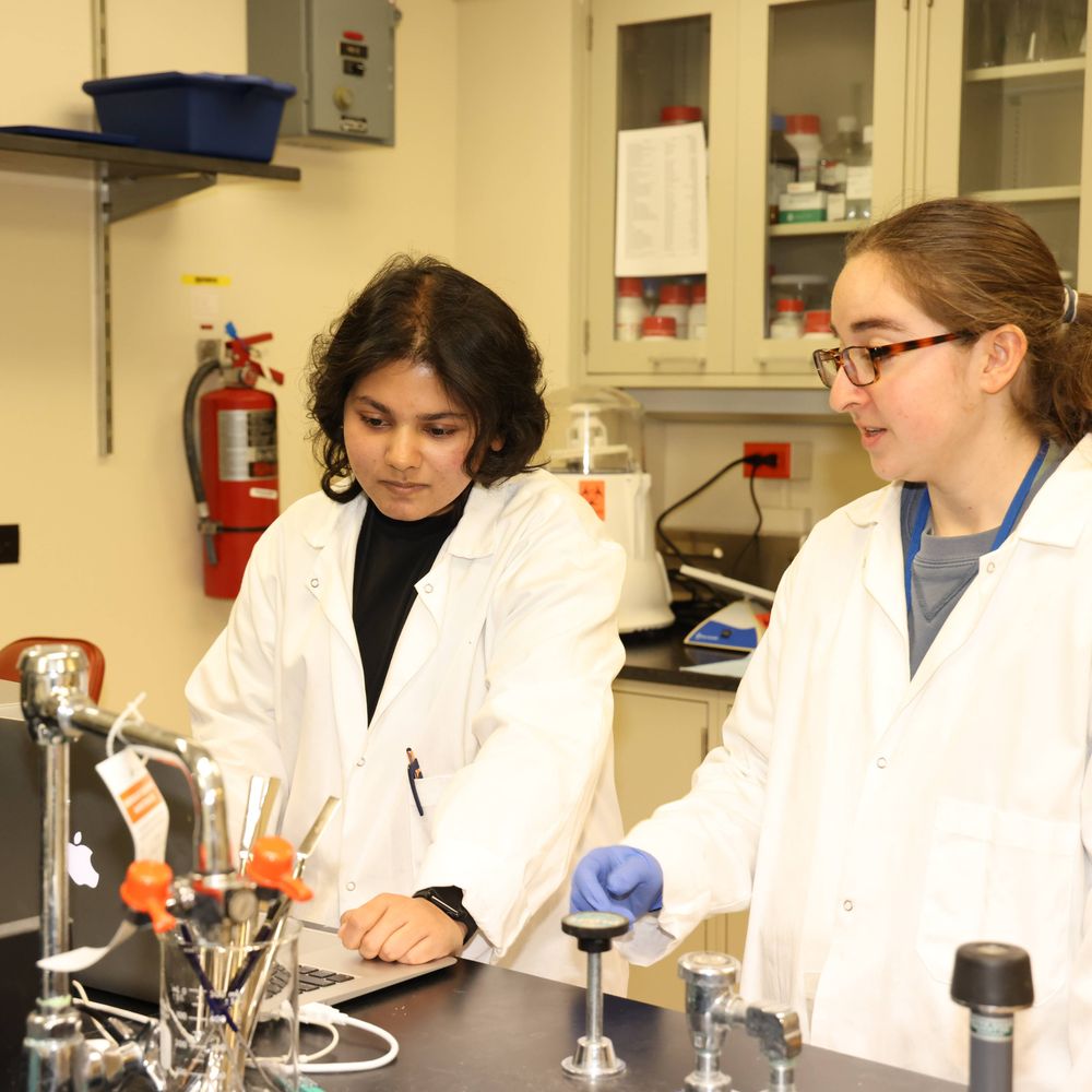 The Karikari Lab