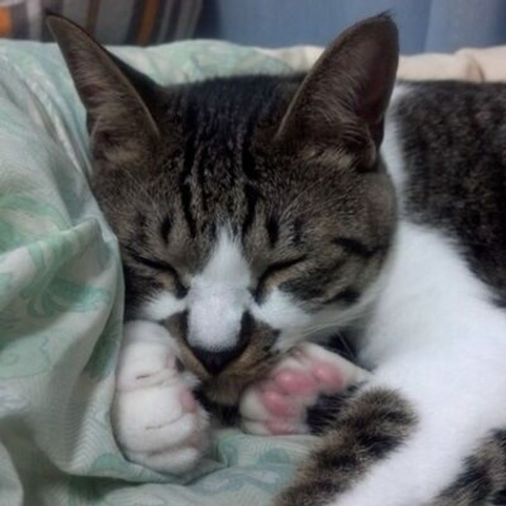 GEORGE@じょーじ