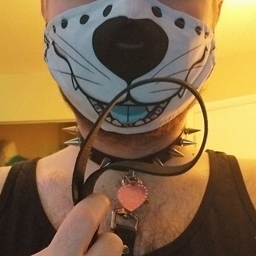 Miscell's Fox Hole🔜Furrydelphia '25!