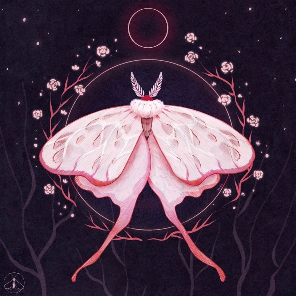 Floofiest Moth