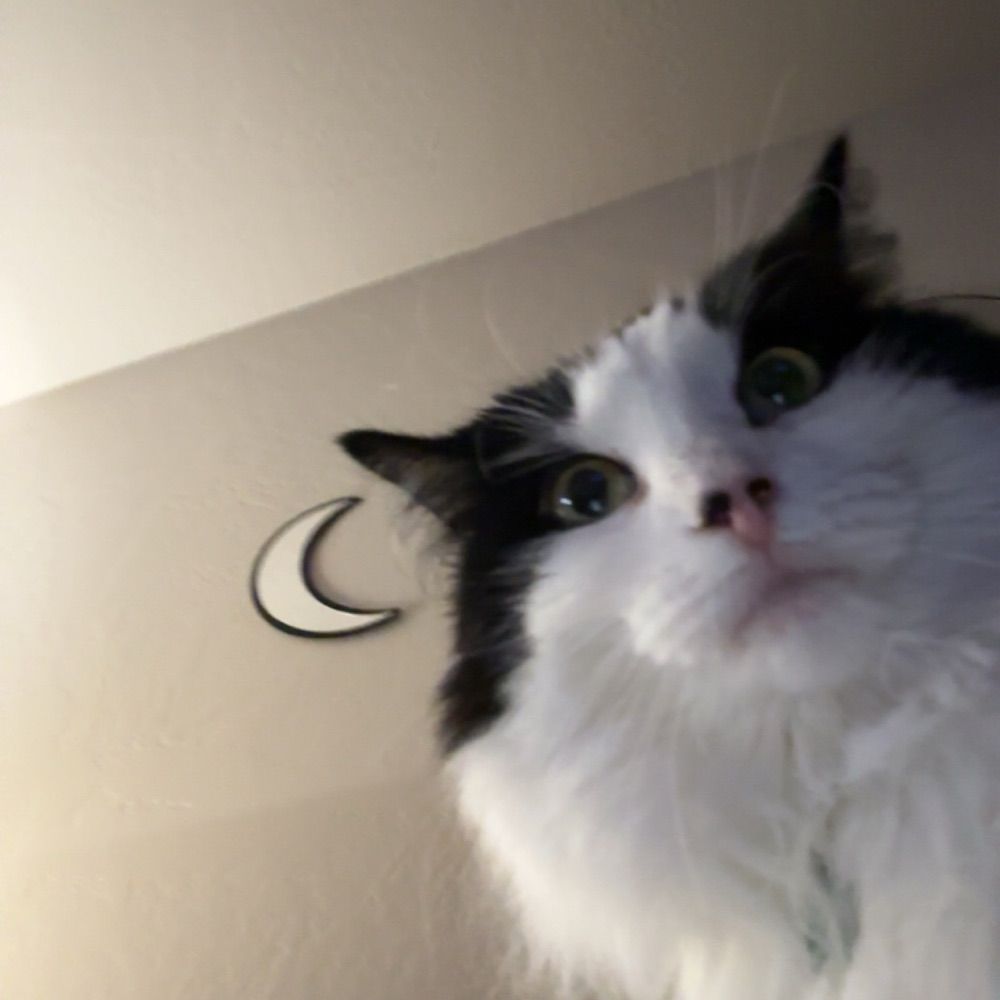 Lillian