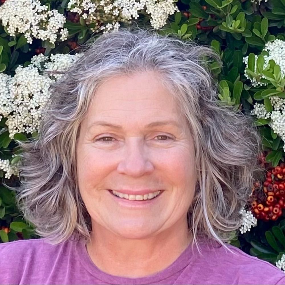 Liz Cohn