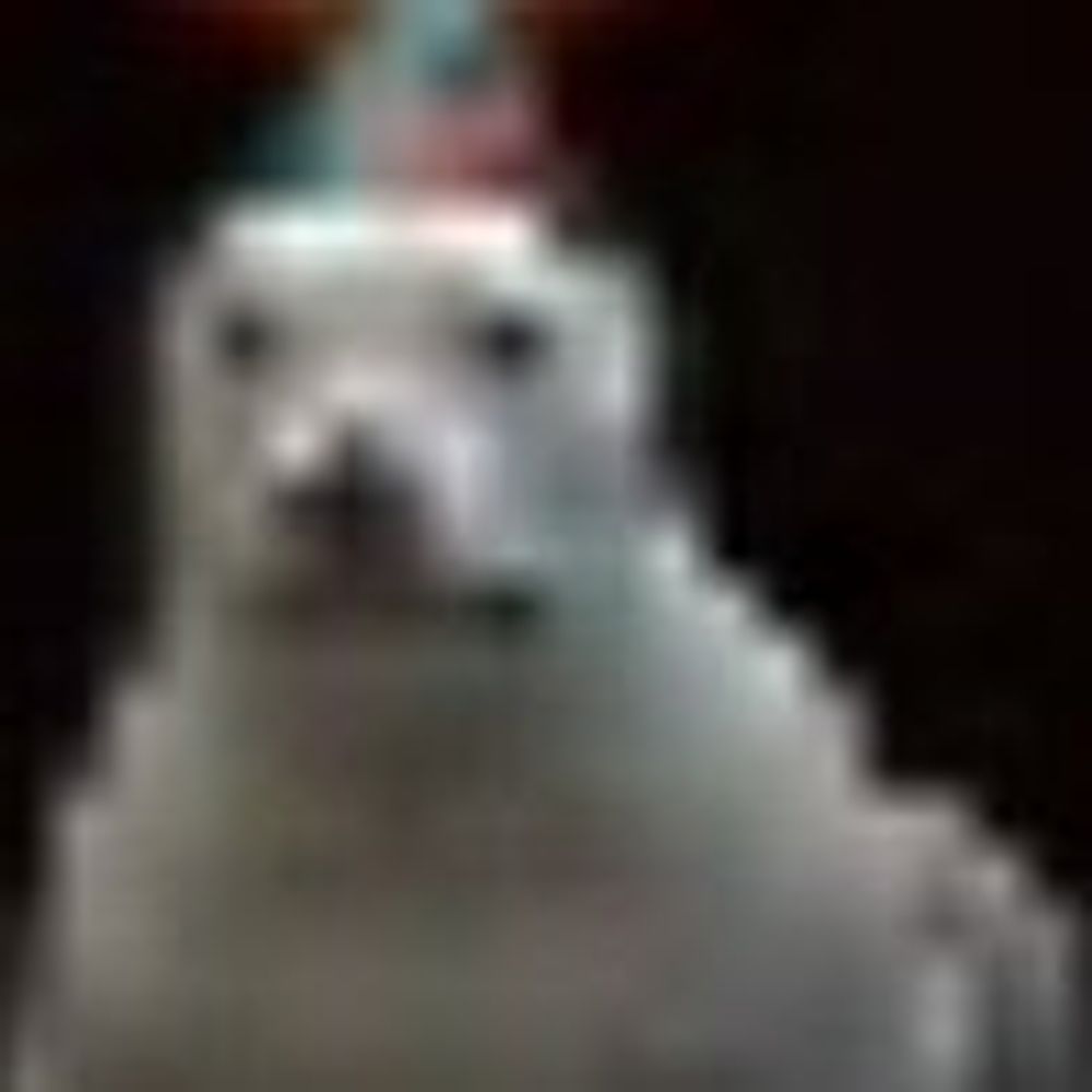 calicofunk