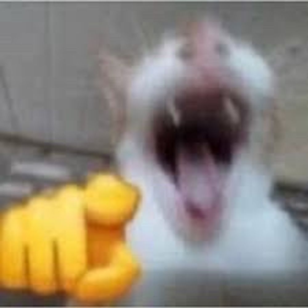 Gokunodiffs