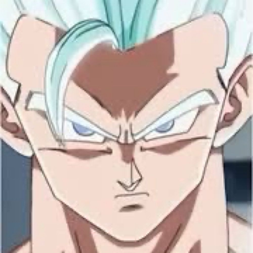 gohan blanco