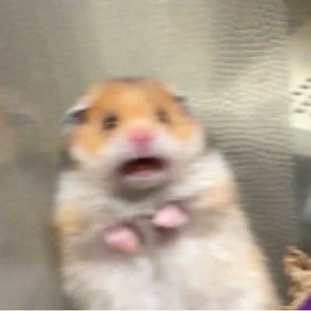 제로