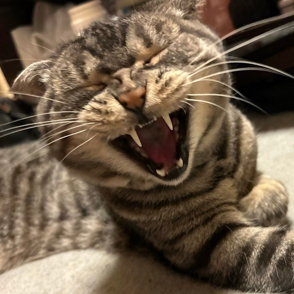 翔ちゃん